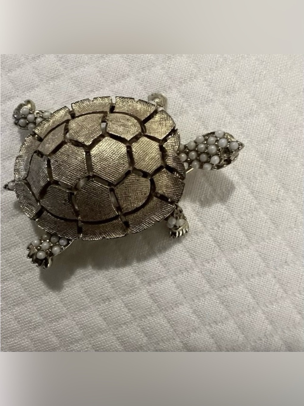 🩷 Turtle Textured Seed Pearls
CINER Vintage Gold Brooch🩷